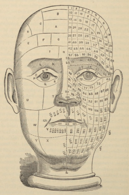 physiognomy